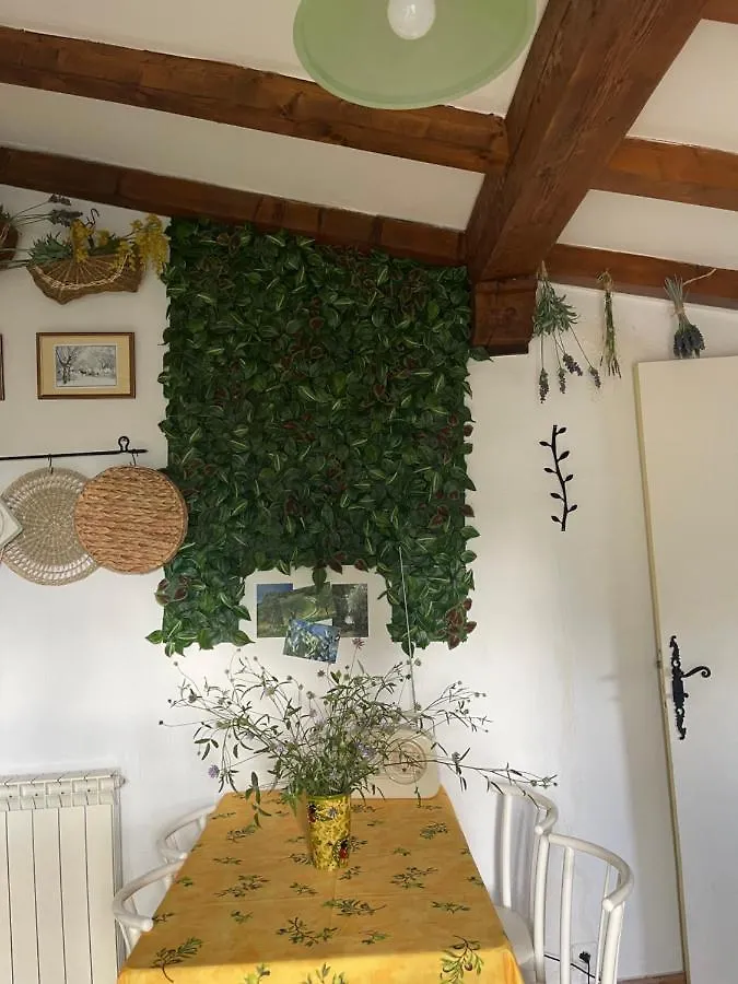 Clos De La Gipiere Montauroux Hébergement de vacances